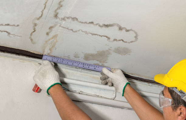 Reliable Burst Pipe Cleanup contractor in Onsted, MI by Local Water Damage Repair
